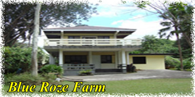 blue roze farm batangas